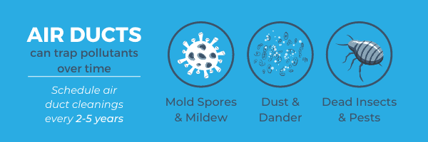 mold spores & mildew