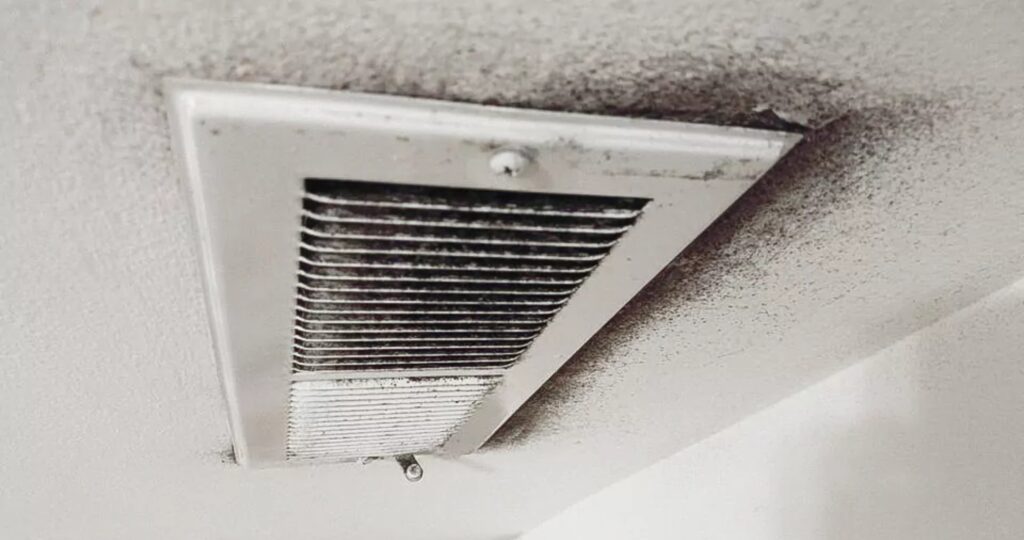 Black mold on a vent