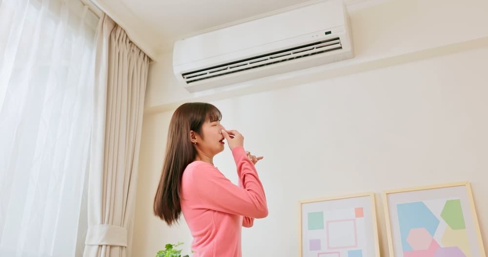 air conditioner or heater odor