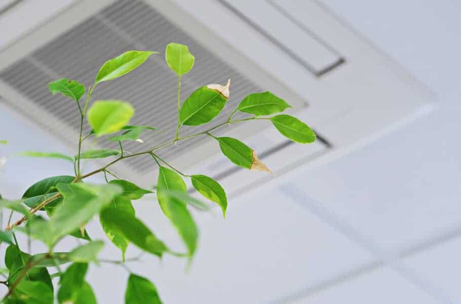 common-sources-of-indoor-air-pollution